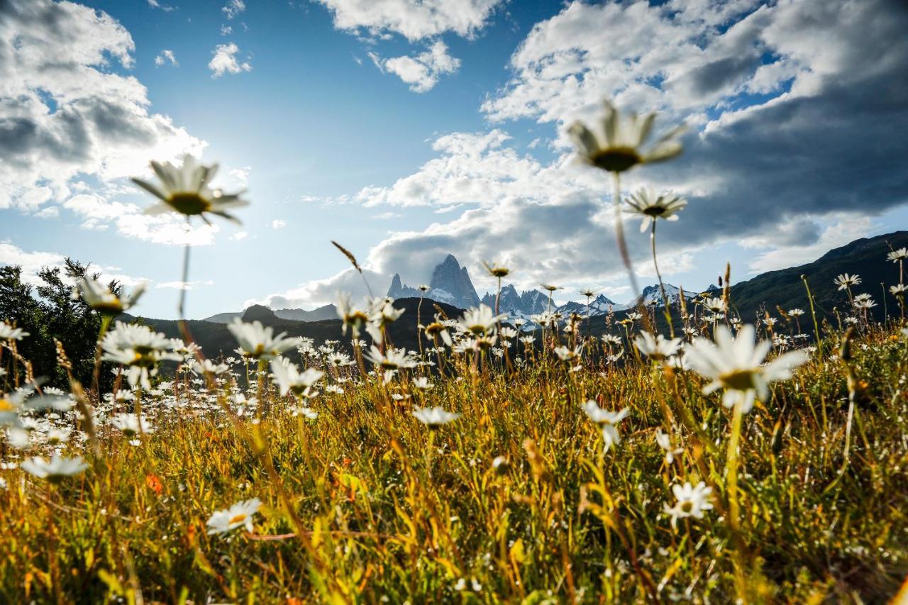 Chalten Camp - Glamping With A View El Chalten Luaran gambar